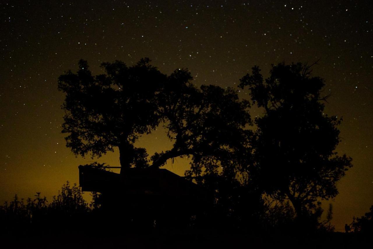 Herdade Do Rio Torto Portel Esterno foto