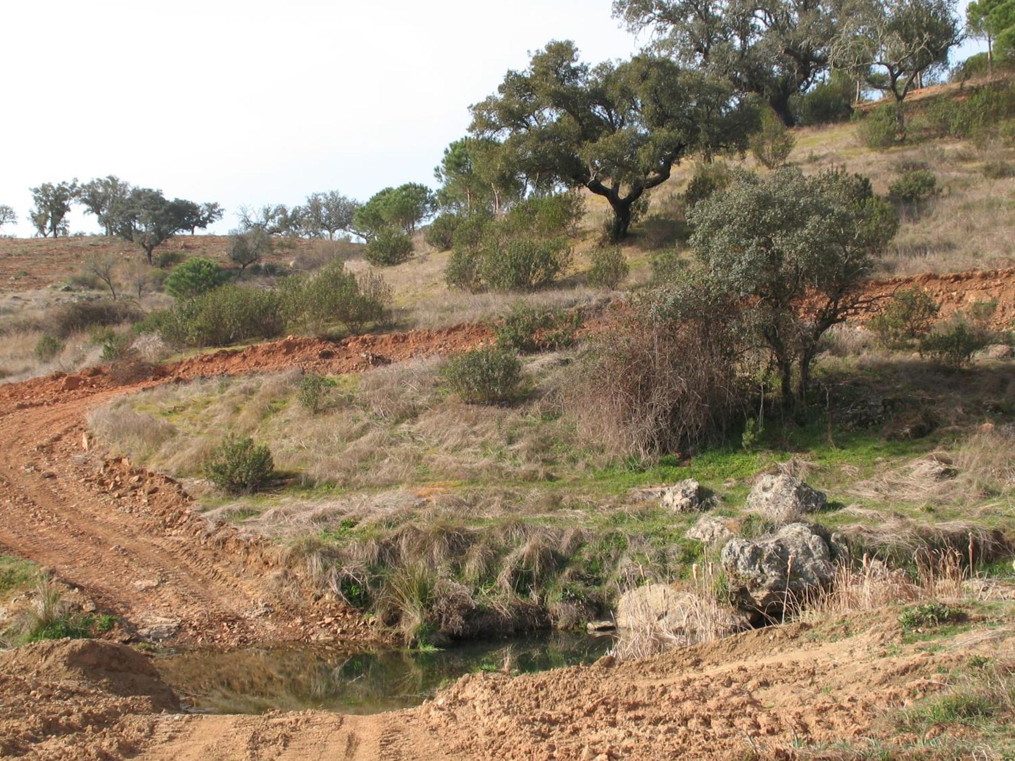 Herdade Do Rio Torto Portel Esterno foto