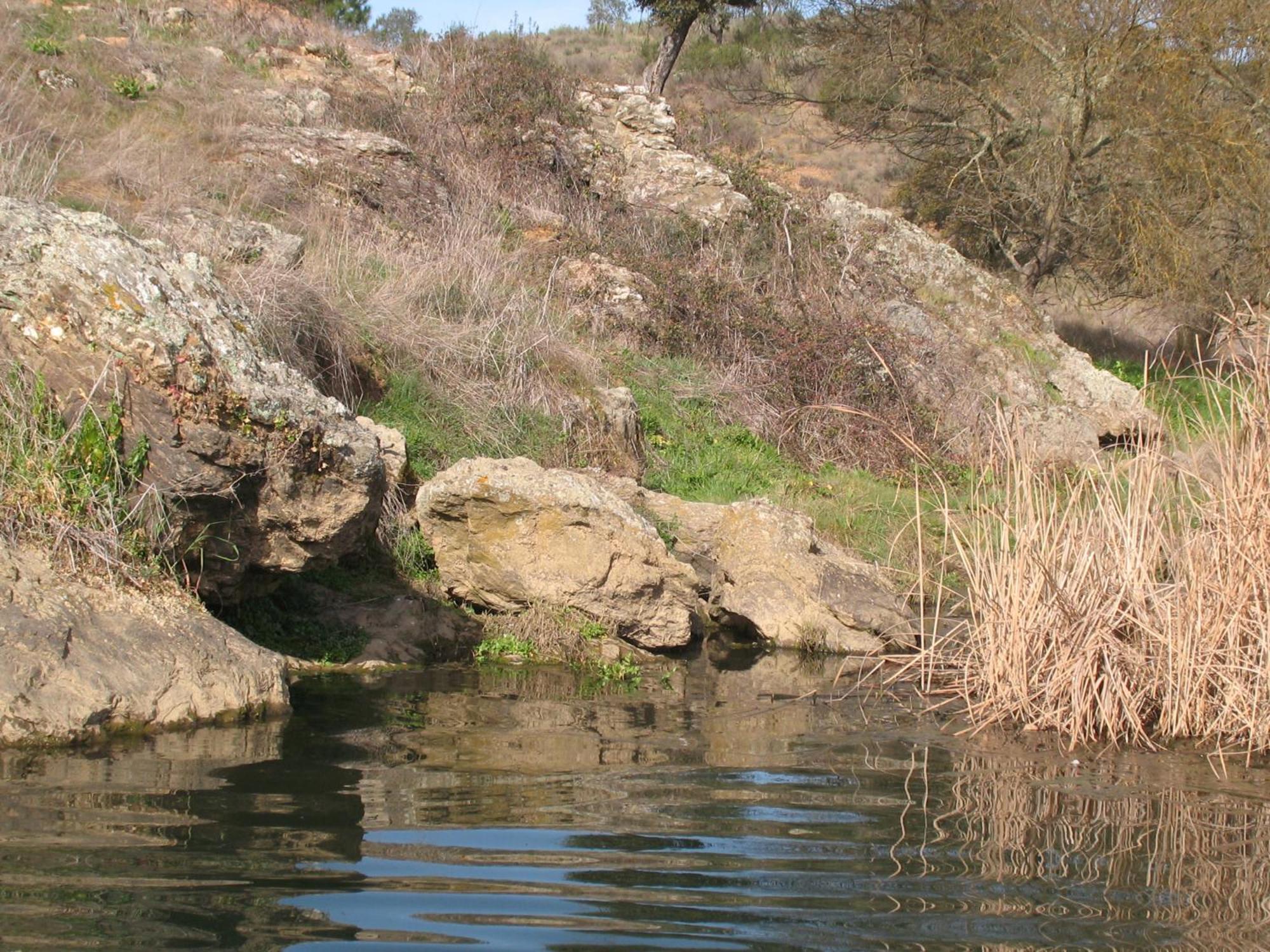 Herdade Do Rio Torto Portel Esterno foto