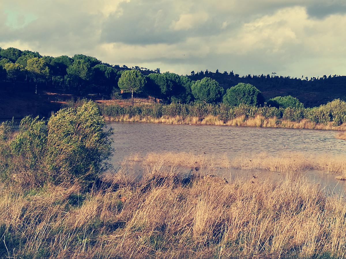 Herdade Do Rio Torto Portel Esterno foto