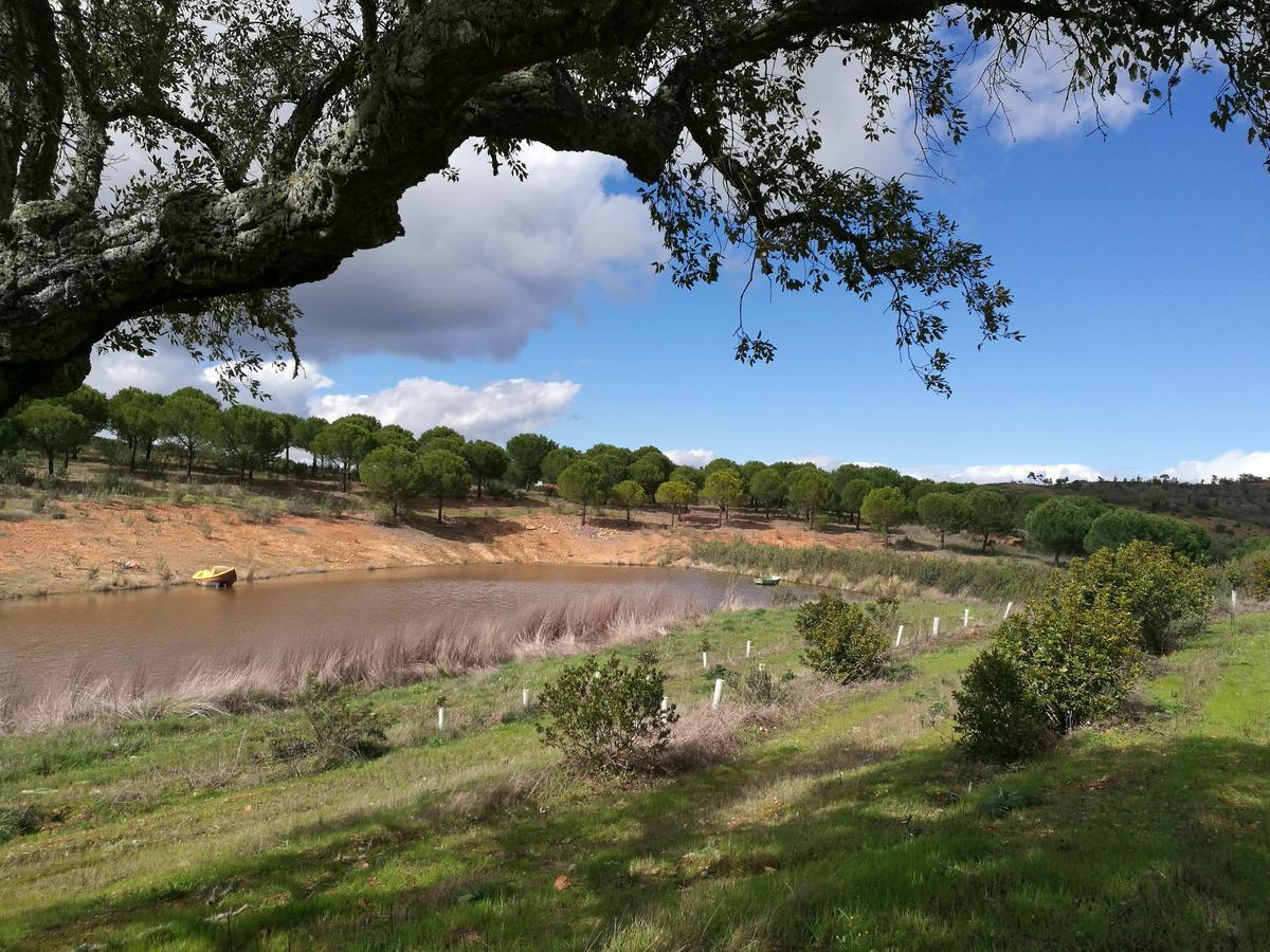Herdade Do Rio Torto Portel Esterno foto